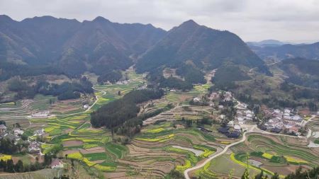 微信圖片_20250226153013