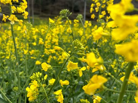 微信圖片_20250402145619