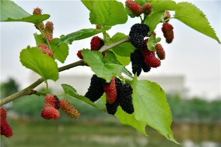 微信圖片_20250616161733