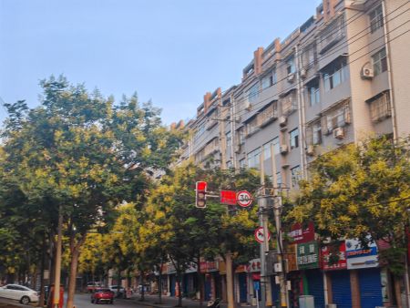 a43a9d54d5192e8d81e9efc41265ef68